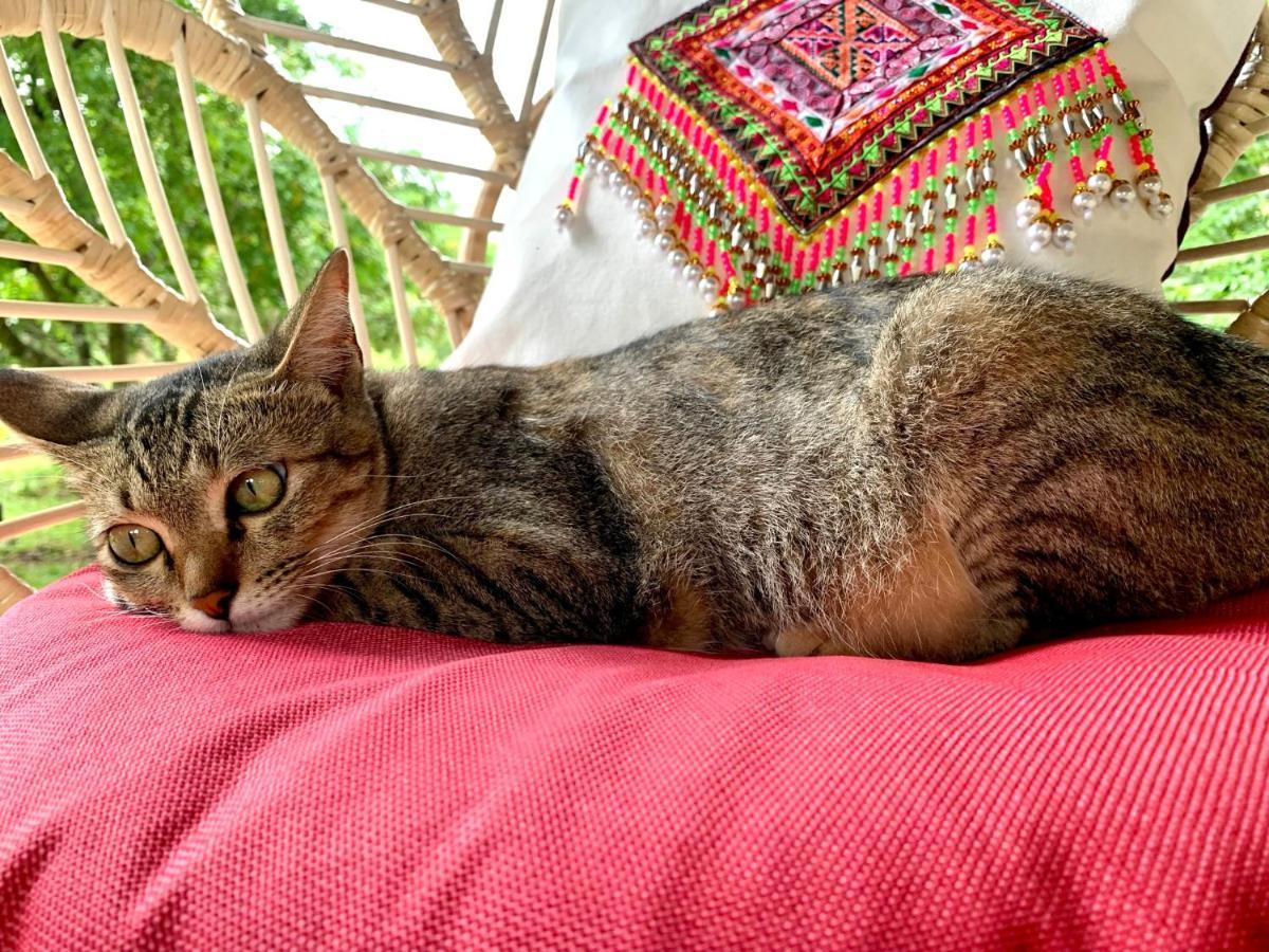 La Maison - Chiangmai Mae Taeng Εξωτερικό φωτογραφία